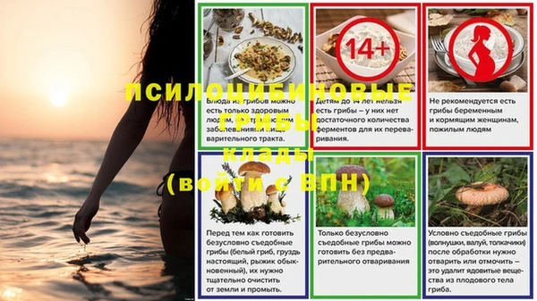 крисы Балахна