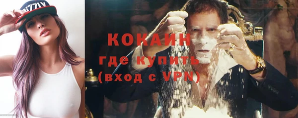 шишки Балабаново