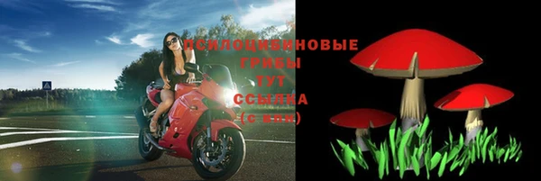 крисы Балахна