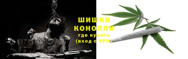 шишки Балабаново