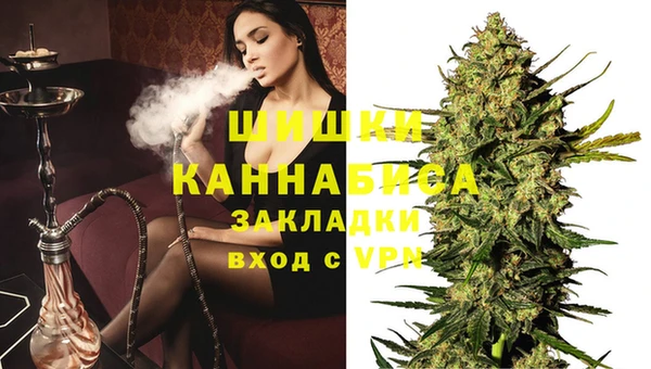 крисы Балахна