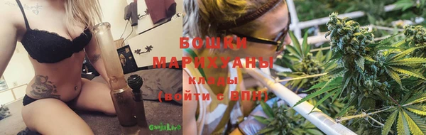 шишки Балабаново