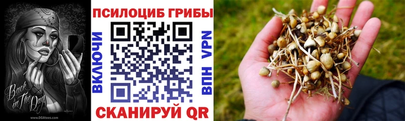 Псилоцибиновые грибы Magic Shrooms  Волчанск 